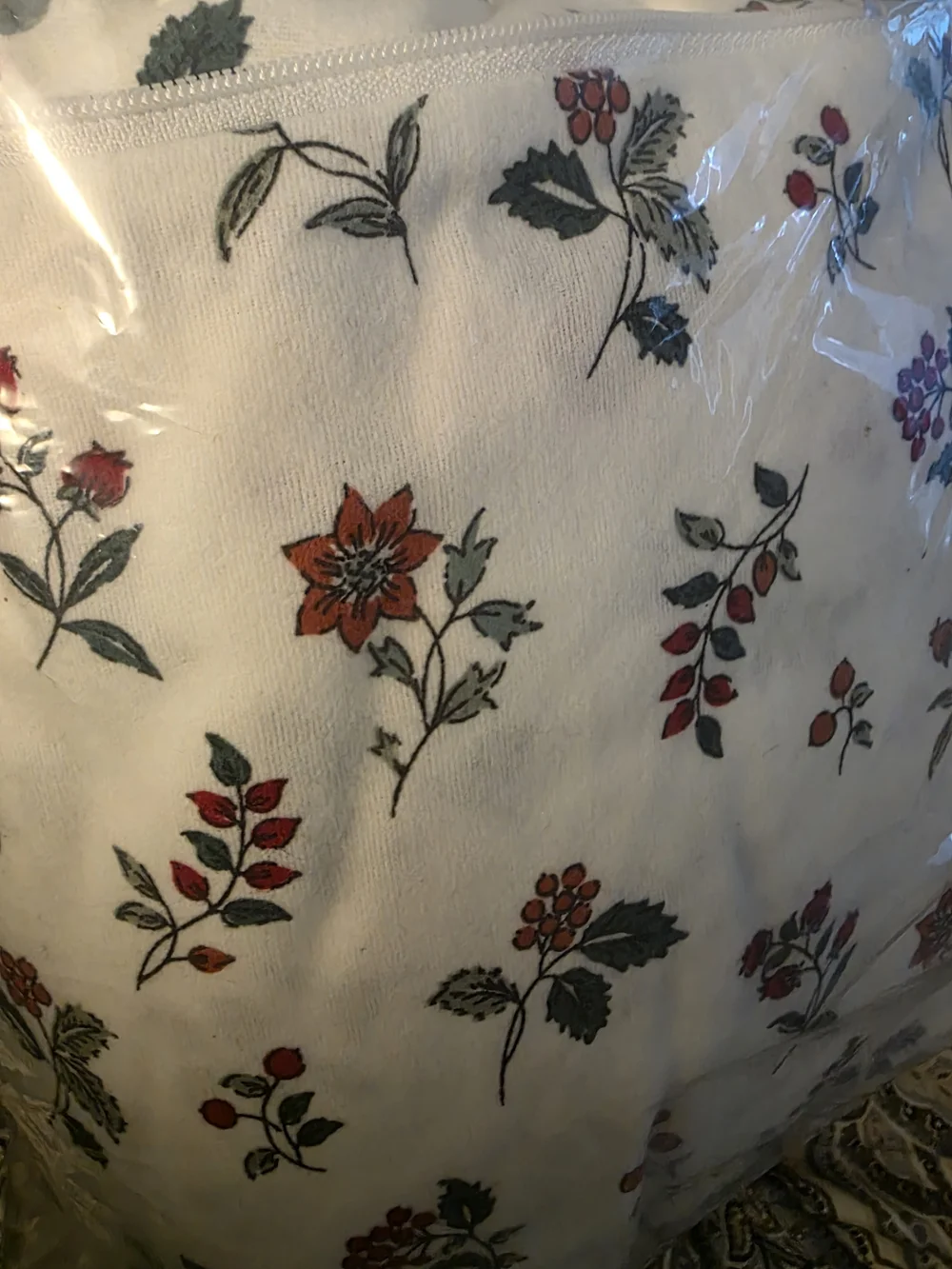Charter Club White Flannel Sheet Set with Red and Green Floral Print